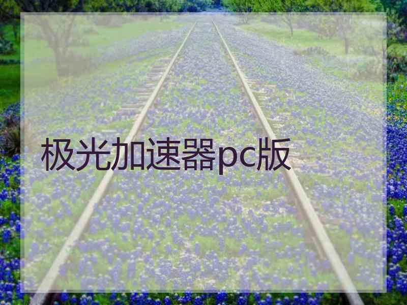 极光加速器pc版