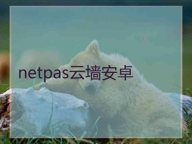 netpas云墙安卓