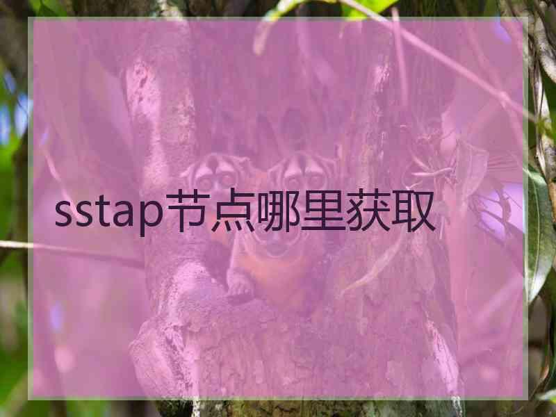 sstap节点哪里获取