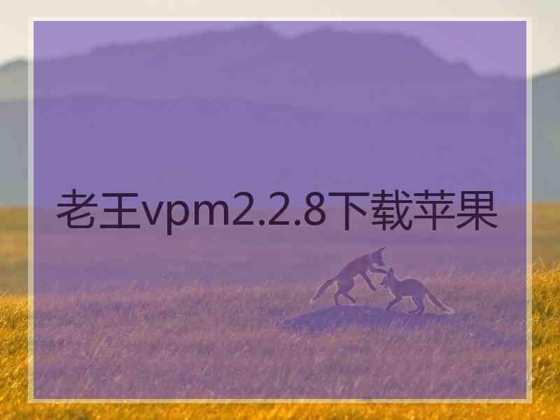 老王vpm2.2.8下载苹果