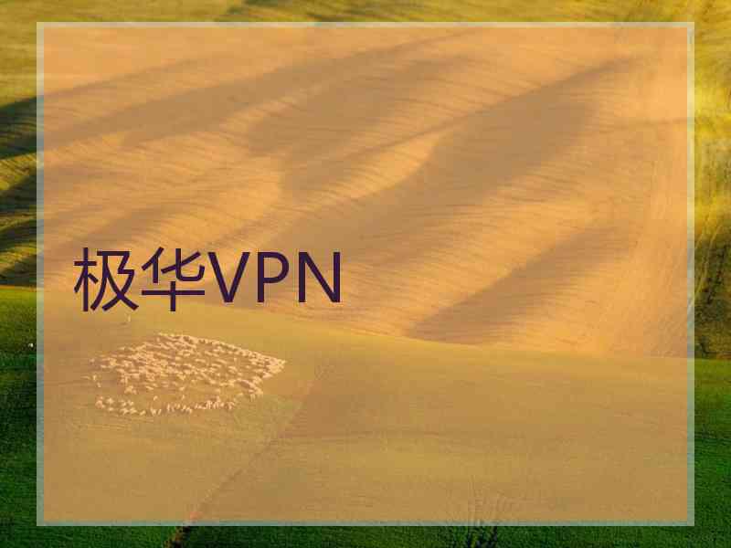 极华VPN