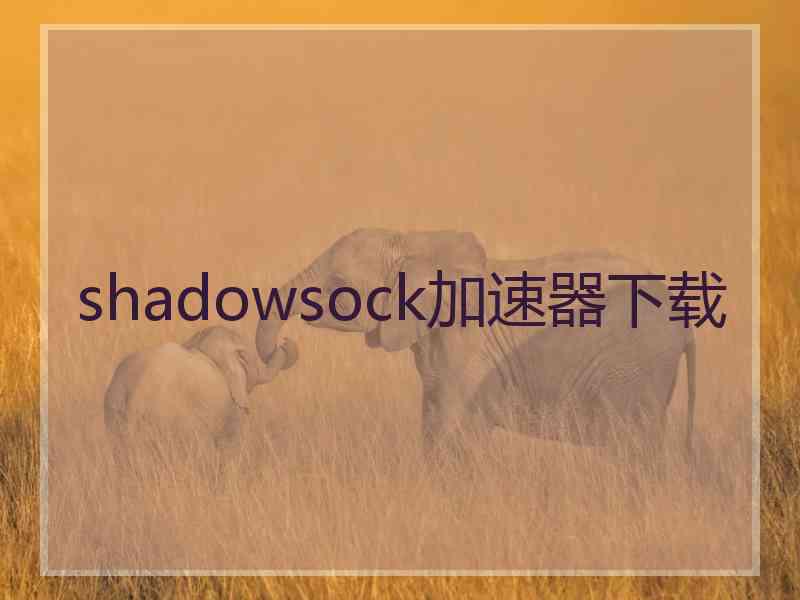 shadowsock加速器下载