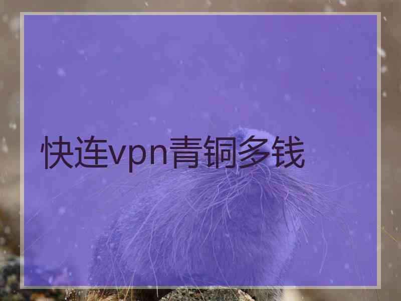 快连vpn青铜多钱