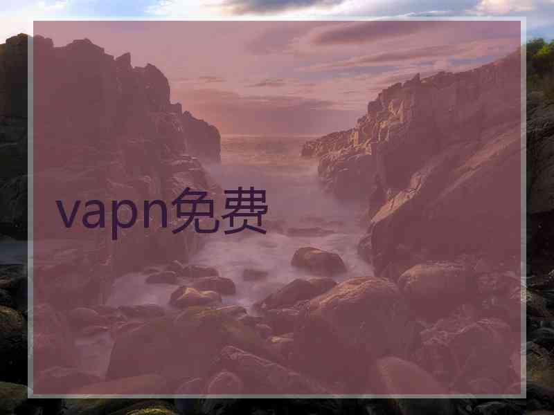 vapn免费