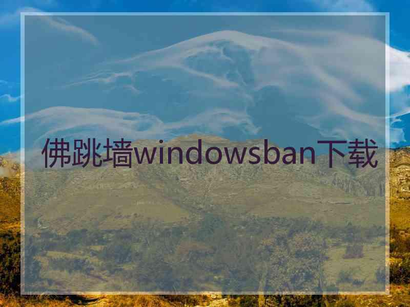 佛跳墙windowsban下载