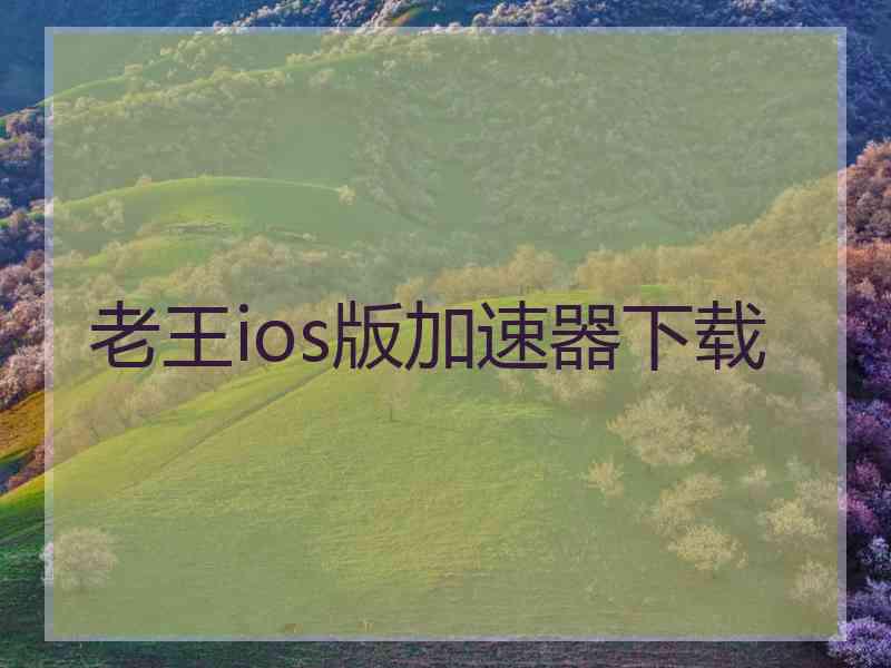 老王ios版加速器下载