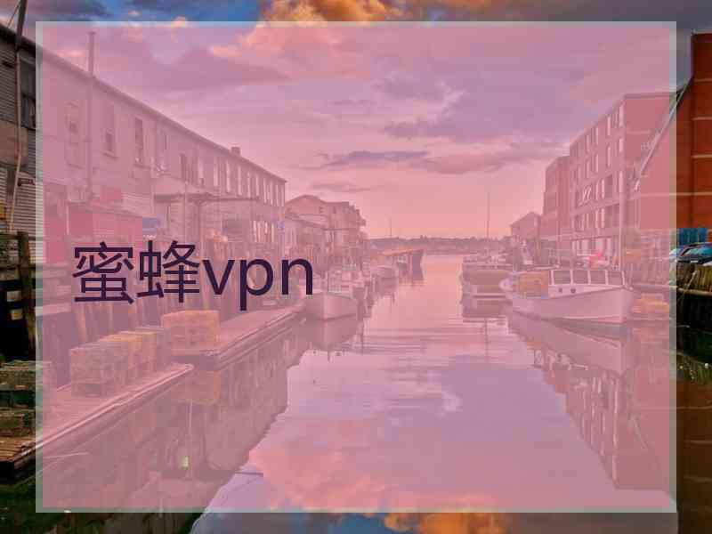 蜜蜂vpn