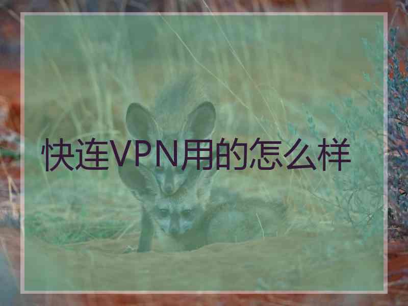 快连VPN用的怎么样