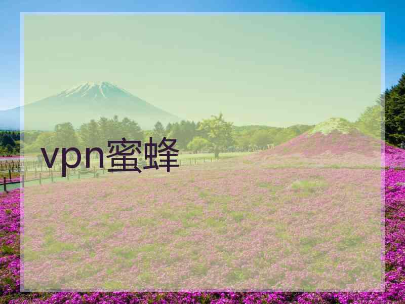 vpn蜜蜂