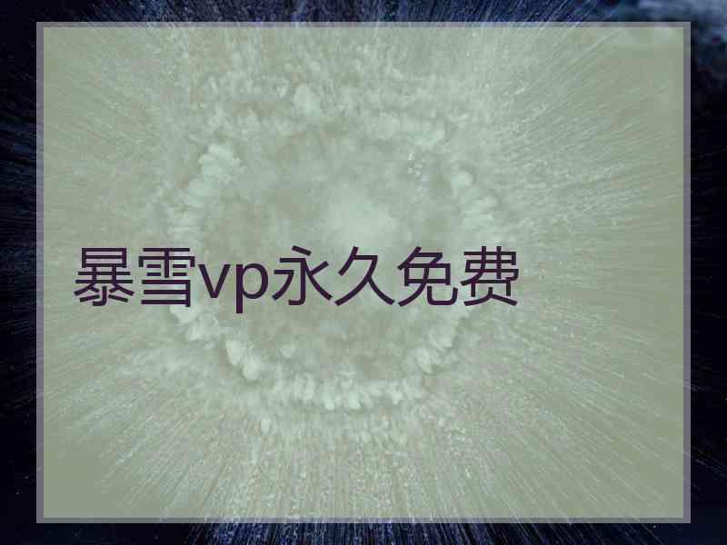 暴雪vp永久免费