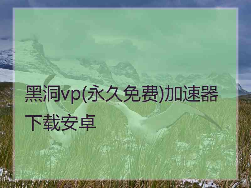 黑洞vp(永久免费)加速器下载安卓