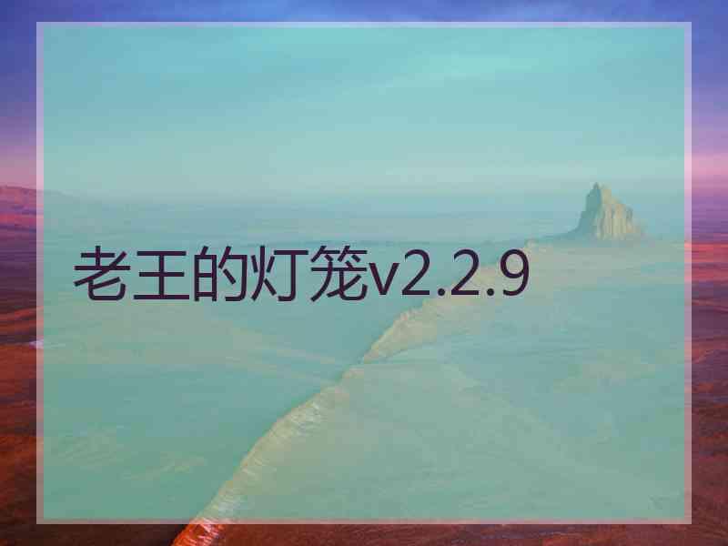 老王的灯笼v2.2.9