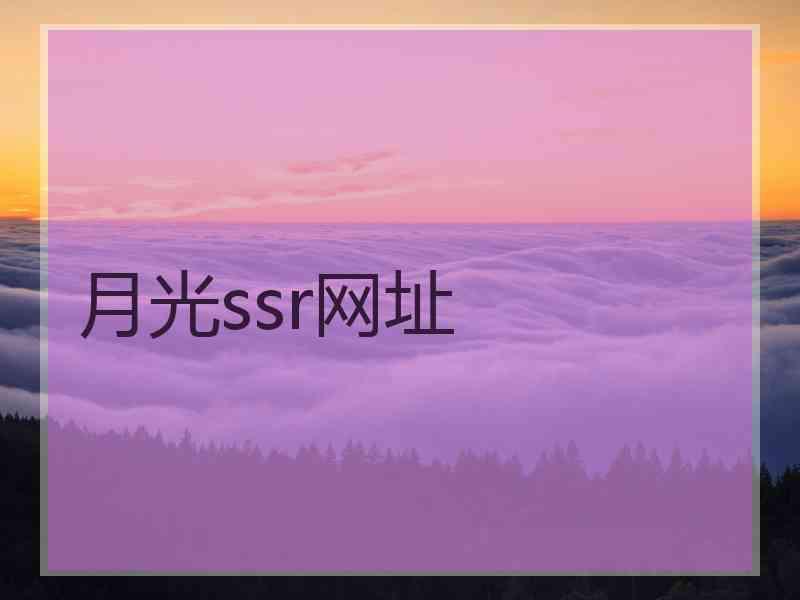 月光ssr网址