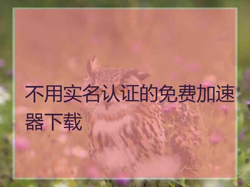 不用实名认证的免费加速器下载