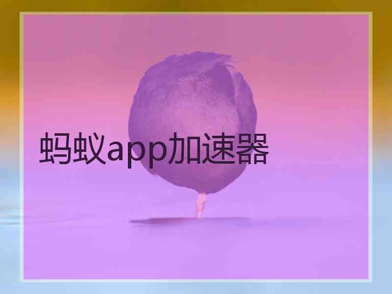 蚂蚁app加速器