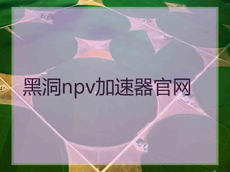 黑洞npv加速器官网