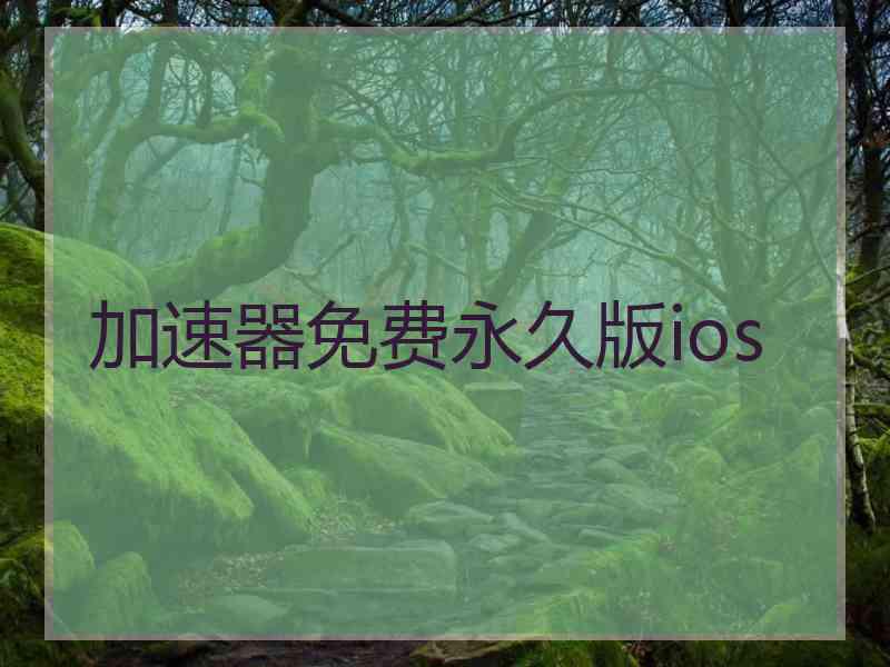 加速器免费永久版ios