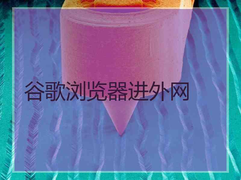 谷歌浏览器进外网