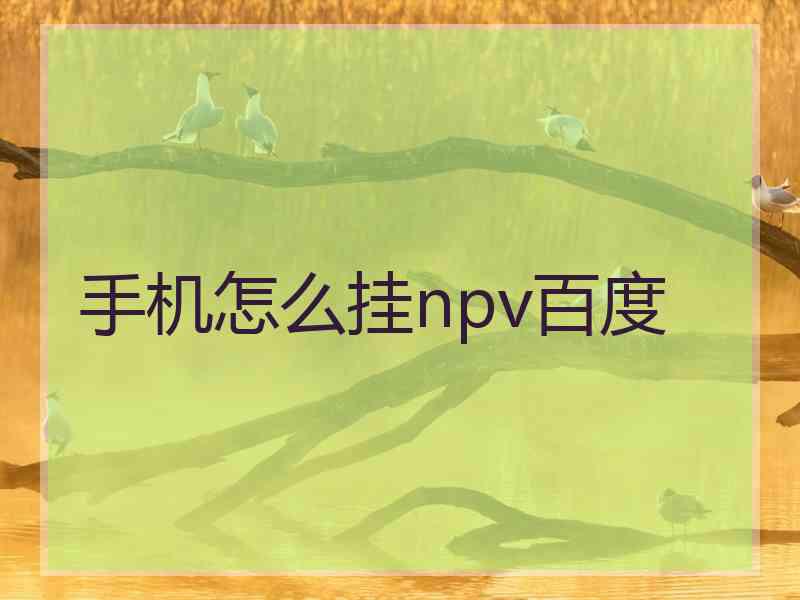 手机怎么挂npv百度