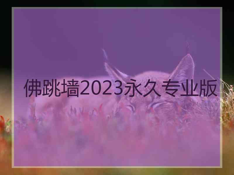 佛跳墙2023永久专业版