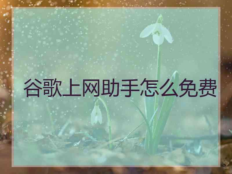 谷歌上网助手怎么免费