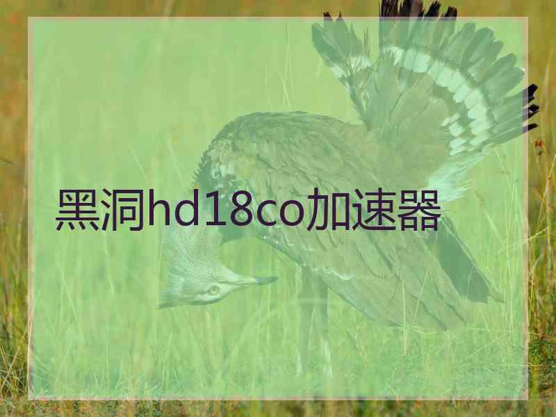 黑洞hd18co加速器