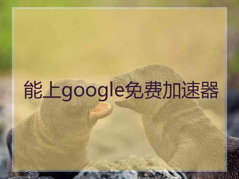 能上google免费加速器