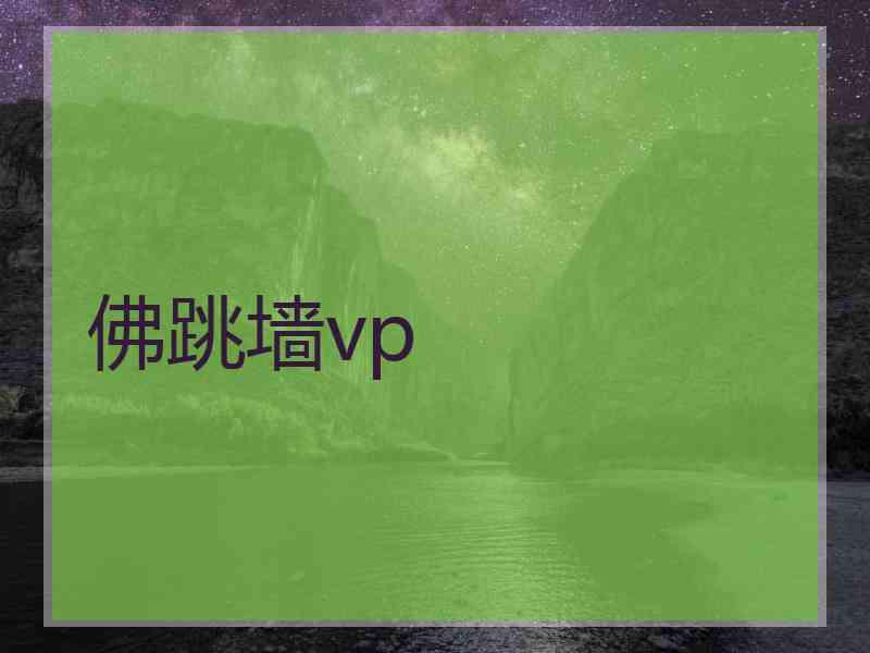 佛跳墙vp