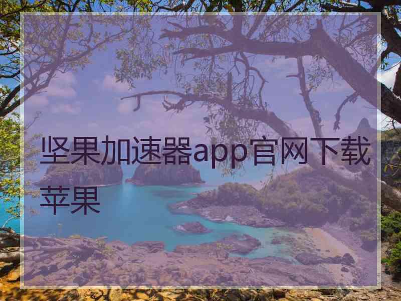 坚果加速器app官网下载苹果