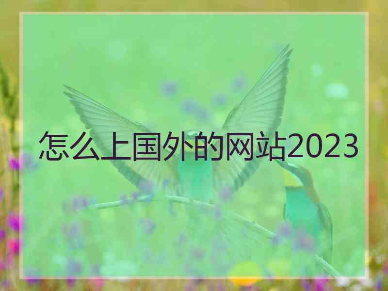 怎么上国外的网站2023