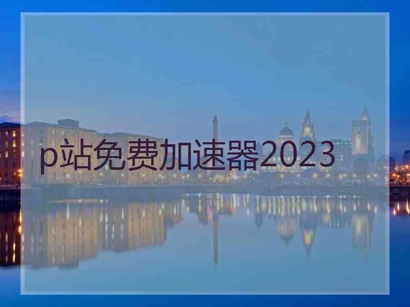 p站免费加速器2023