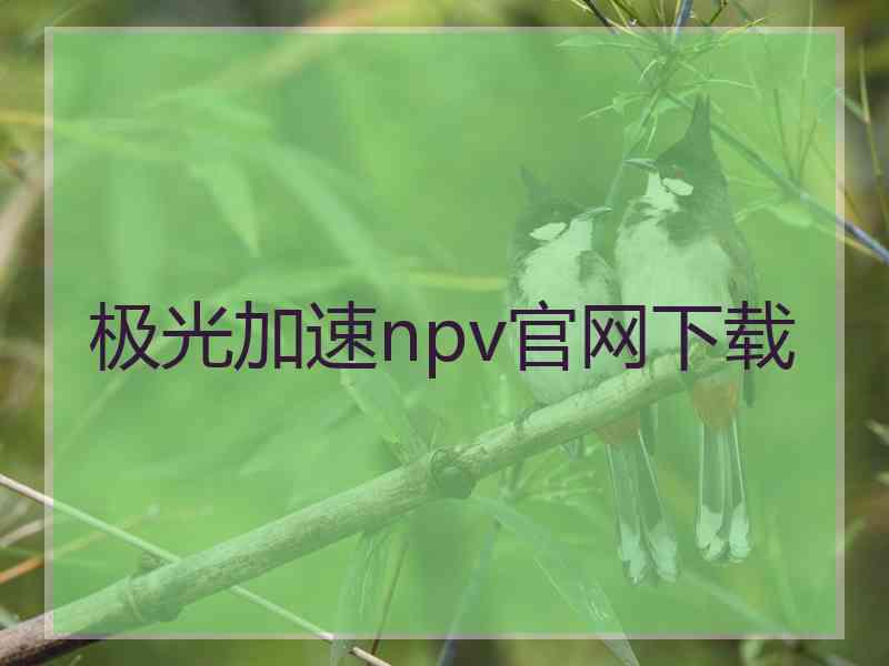 极光加速npv官网下载