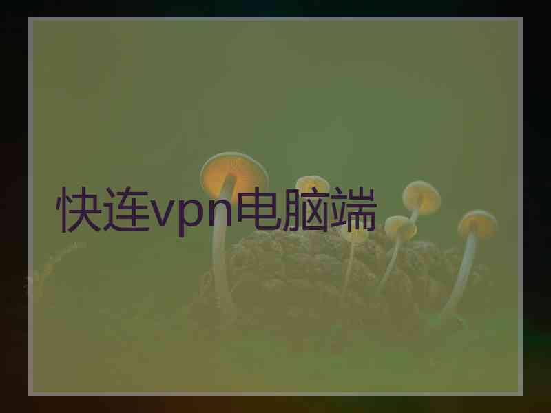 快连vpn电脑端