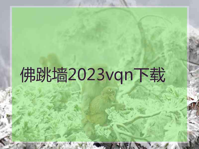 佛跳墙2023vqn下载