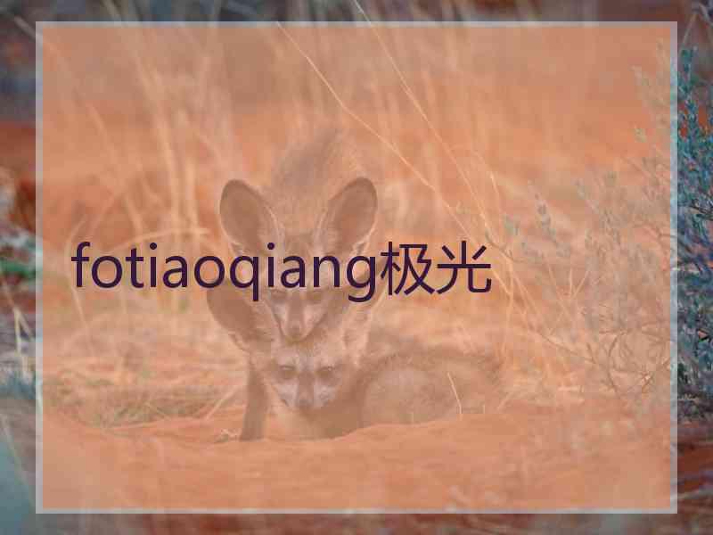 fotiaoqiang极光