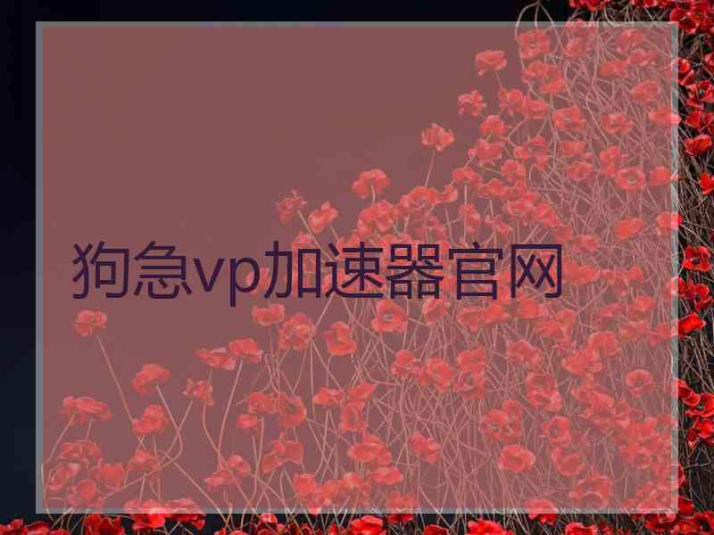 狗急vp加速器官网