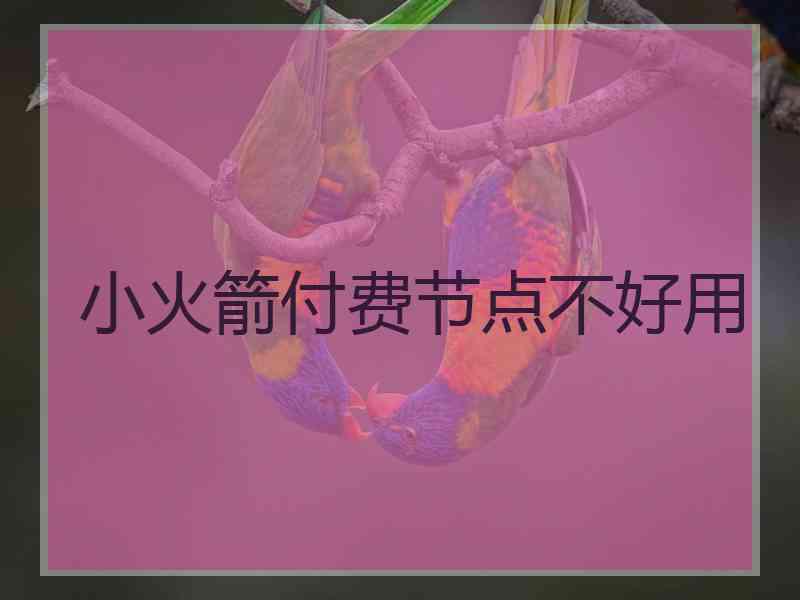 小火箭付费节点不好用