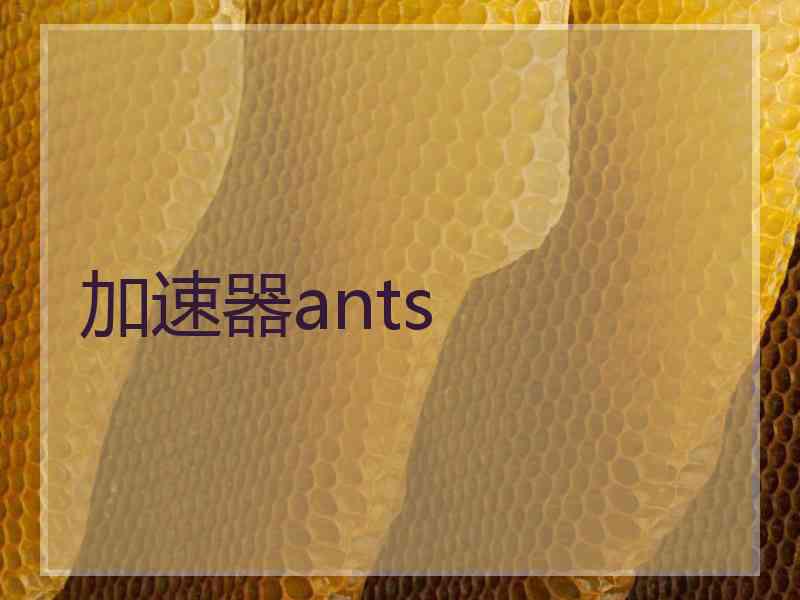 加速器ants