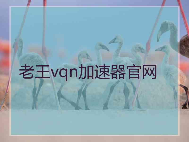 老王vqn加速器官网