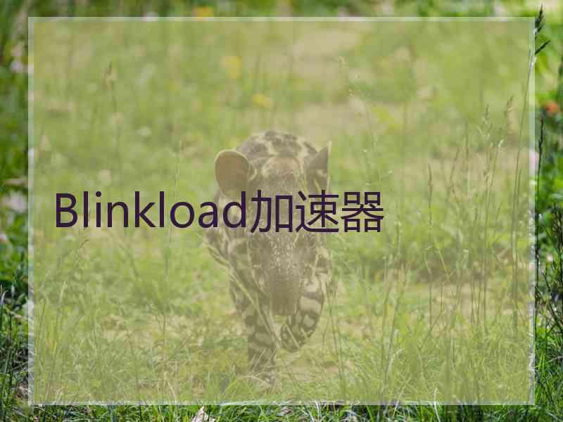 Blinkload加速器