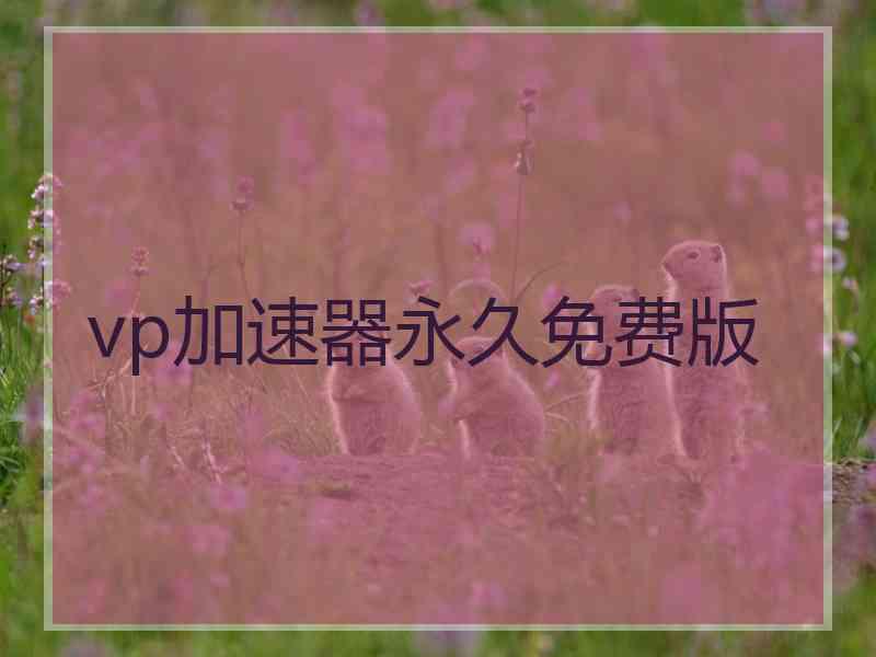 vp加速器永久免费版