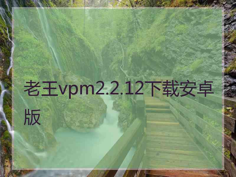 老王vpm2.2.12下载安卓版