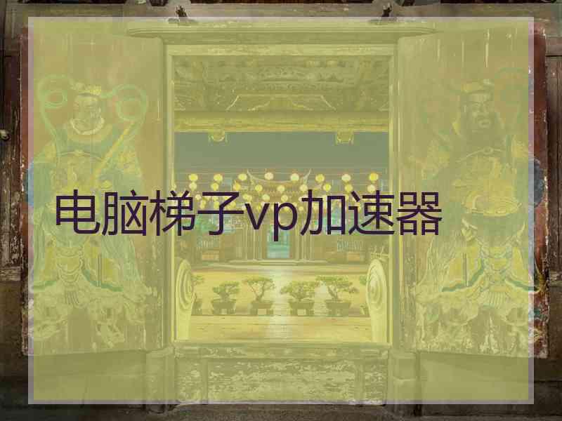 电脑梯子vp加速器