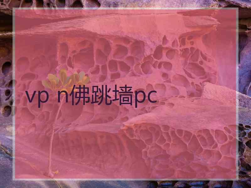 vp n佛跳墙pc