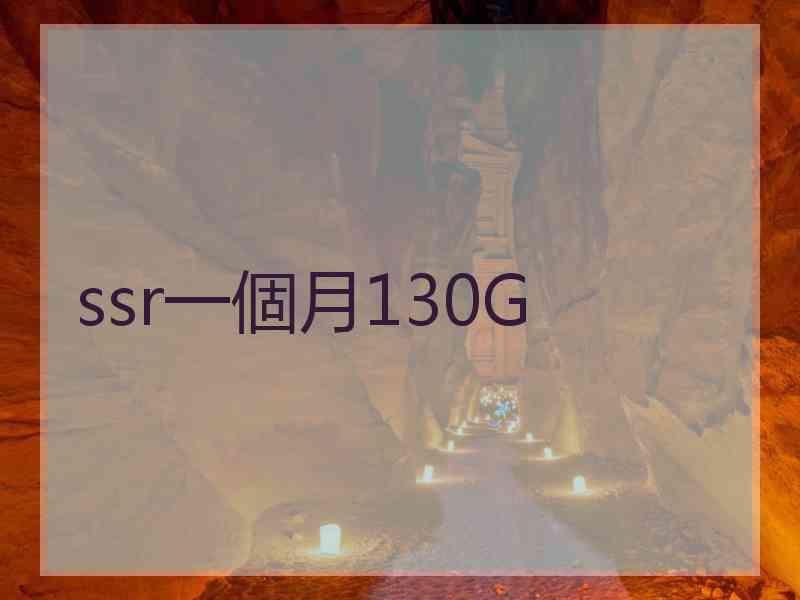 ssr一個月130G