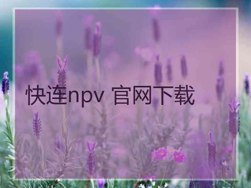 快连npv 官网下载