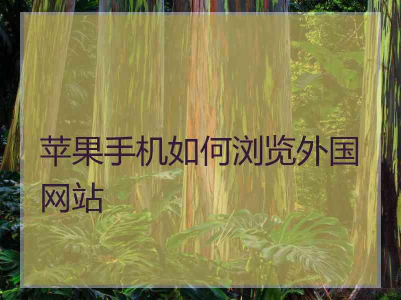 苹果手机如何浏览外国网站