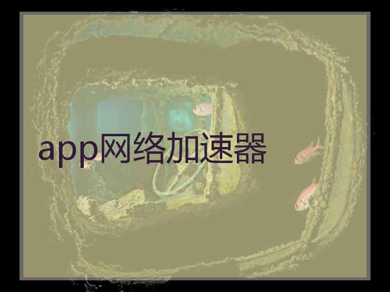 app网络加速器