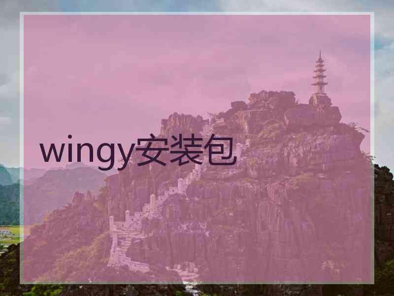 wingy安装包