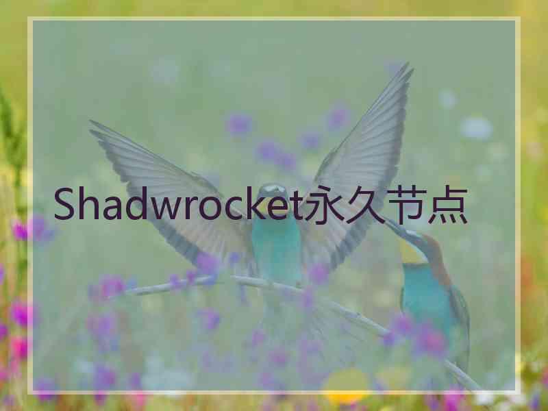 Shadwrocket永久节点